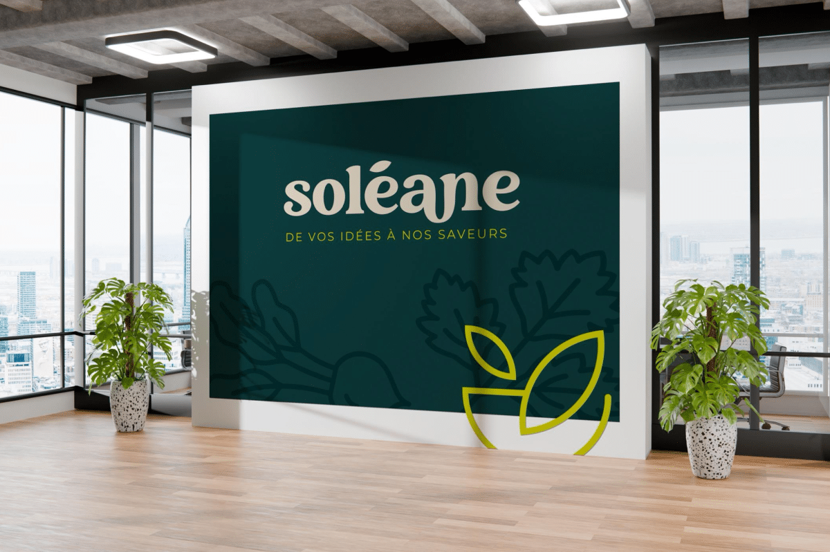 refonte-de-l-identite-visuelle-soleane-comwell